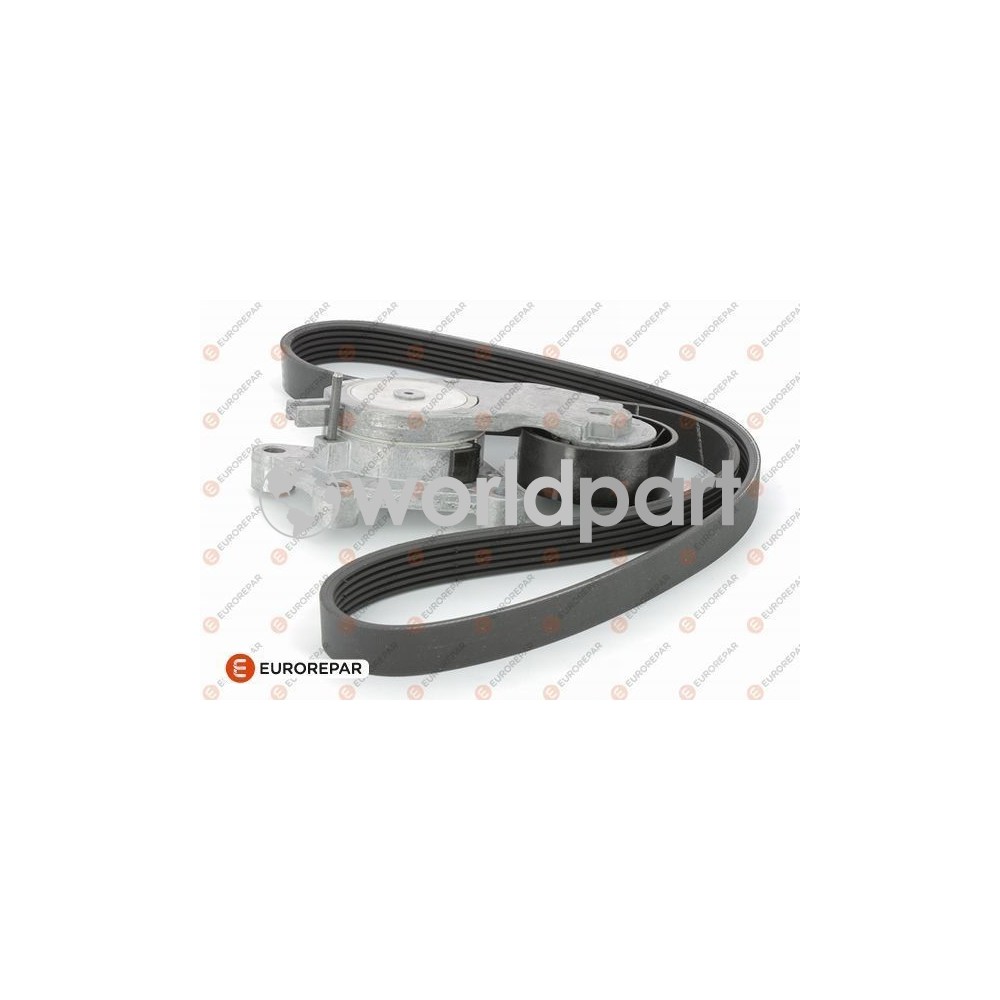 Peugeot Citroen Alternatör Kayış Kiti ERP